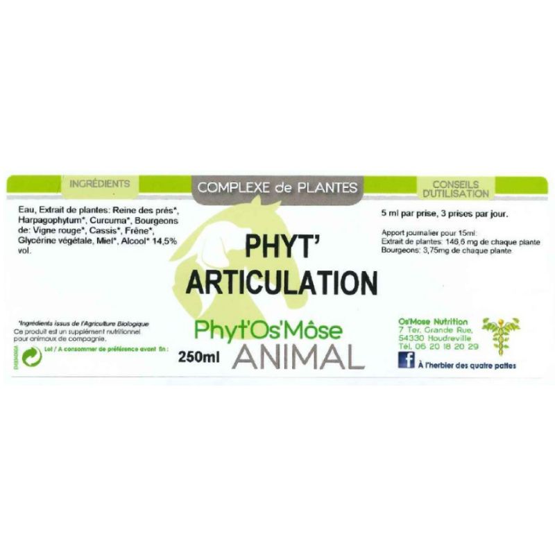 Phyt'articulation