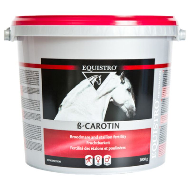 EQUISTRO B-CAROTENE 3000g