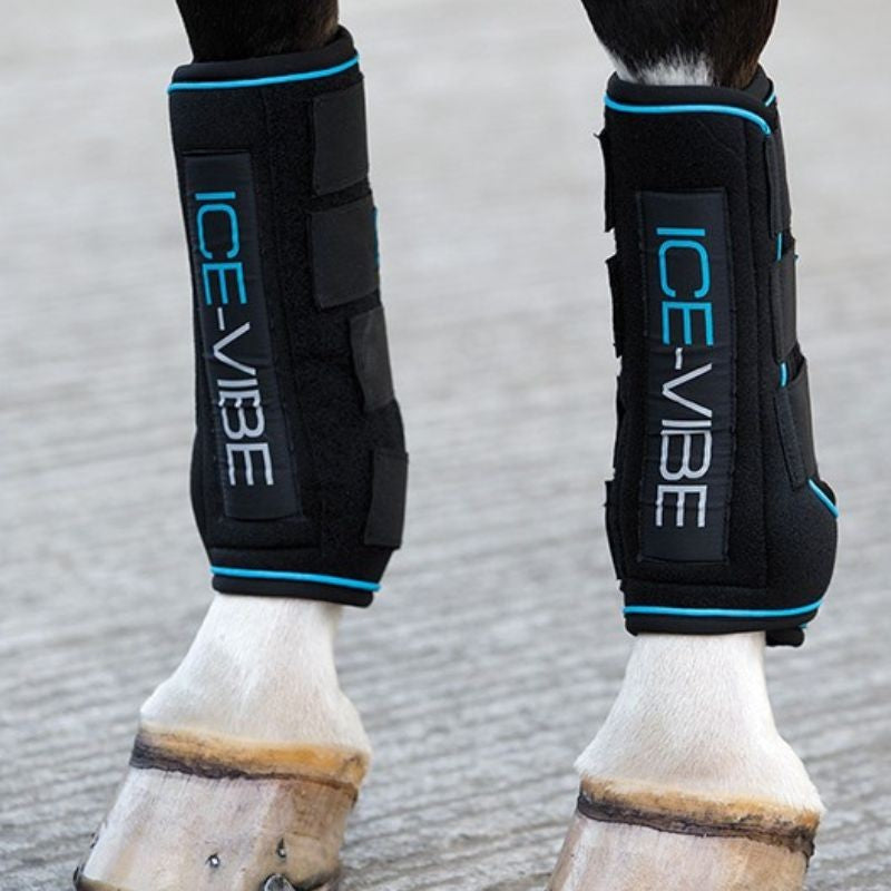 Guêtres Ice-Vibe de chez Horseware Horseware  249,00 €