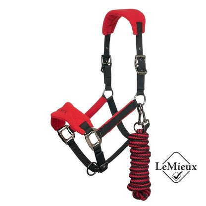 Vogue Licol & Longe Chilli LeMieux  40,95 €