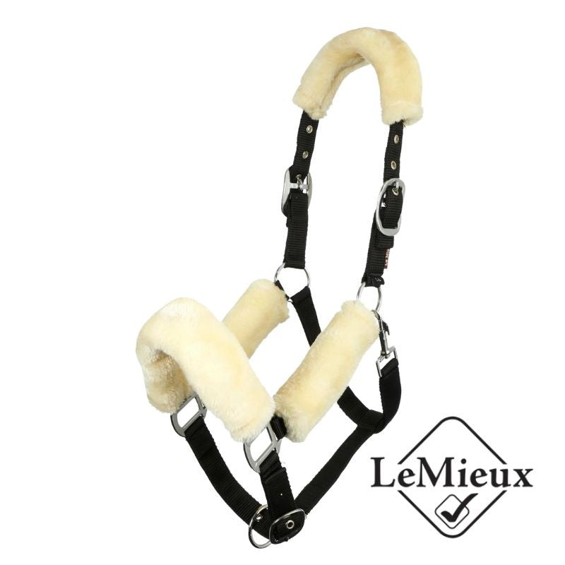 Licol Confort Noir / Blanc LeMieux  22,95 €