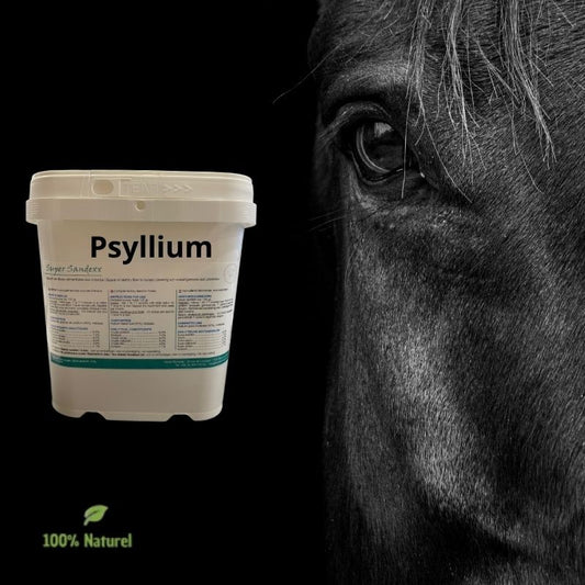 Super Sandexx - Psyllium Horse Remedy  60,00 €